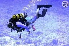    Mareste fotografia 

WeDive - Maldive 2019