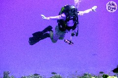    Mareste fotografia 

WeDive - Maldive 2019