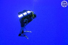    Mareste fotografia 

WeDive - Maldive 2019