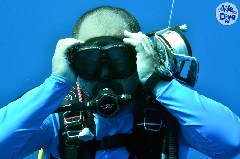    Mareste fotografia 

WeDive - Maldive 2019