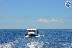    Mareste fotografia 

WeDive - Maldive 2019