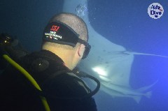    Mareste fotografia 

WeDive - Maldive 2019