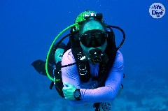    Mareste fotografia 

WeDive - Maldive 2019