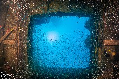    Mareste fotografia 

WeDive - Maldive 2021