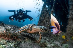    Mareste fotografia 

WeDive - Maldive 2021