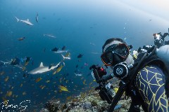    Mareste fotografia 

WeDive - Maldive 2021