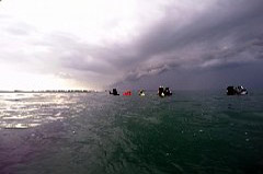    Mareste fotografia 

WeDive - MareaNeagra