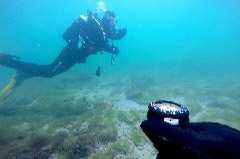    Mareste fotografia 

WeDive - MareaNeagra