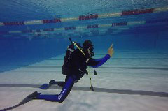    Mareste fotografia 

WeDive - Piscina