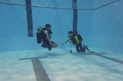    Mareste fotografia 

WeDive - Piscina