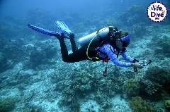    Mareste fotografia 

WeDive - RajaAmpat 2020