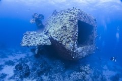    Mareste fotografia 

WeDive - SalemExpress