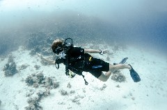    Mareste fotografia 

WeDive - Scuba Girls