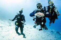    Mareste fotografia 

WeDive - Scuba Girls