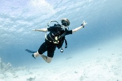   Mareste fotografia 

WeDive - Scuba Girls