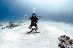    Mareste fotografia 

WeDive - Scuba Girls