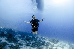    Mareste fotografia 

WeDive - Scuba Girls