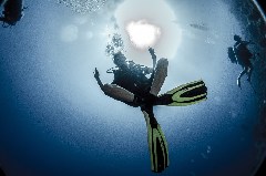    Mareste fotografia 

WeDive - Scuba Girls