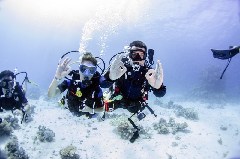    Mareste fotografia 

WeDive - Scuba Girls
