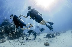    Mareste fotografia 

WeDive - Scuba Girls