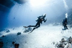    Mareste fotografia 

WeDive - Scuba Girls