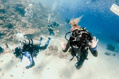    Mareste fotografia 

WeDive - Scuba Girls