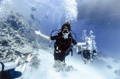    Mareste fotografia 

WeDive - Scuba Girls