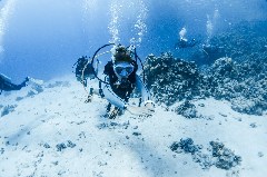    Mareste fotografia 

WeDive - Scuba Girls