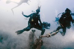    Mareste fotografia 

WeDive - Scuba Girls