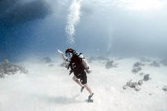    Mareste fotografia 

WeDive - Scuba Girls