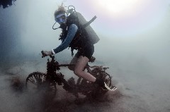    Mareste fotografia 

WeDive - Scuba Girls