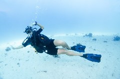    Mareste fotografia 

WeDive - Scuba Girls