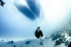    Mareste fotografia 

WeDive - Scuba Girls
