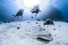    Mareste fotografia 

WeDive - Scuba Girls