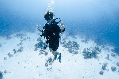    Mareste fotografia 

WeDive - Scuba Girls