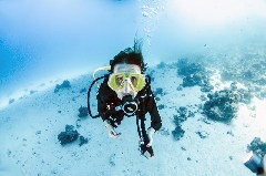    Mareste fotografia 

WeDive - Scuba Girls