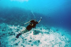    Mareste fotografia 

WeDive - Scuba Girls