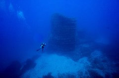    Mareste fotografia 

WeDive - Socoro Mexic