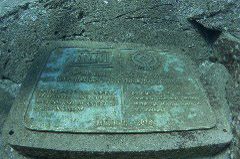    Mareste fotografia 

WeDive - Socoro Mexic