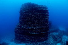    Mareste fotografia 

WeDive - Socoro Mexic