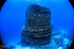    Mareste fotografia 

WeDive - Socoro Mexic