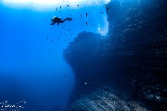    Mareste fotografia 

WeDive - Socoro Mexic