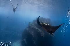    Mareste fotografia 

WeDive - Socoro Mexic