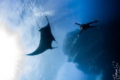    Mareste fotografia 

WeDive - Socoro Mexic