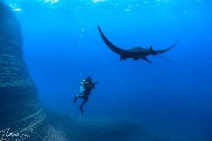    Mareste fotografia 

WeDive - Socoro Mexic