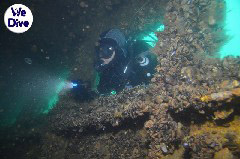    Mareste fotografia 

WeDive - YouXiu