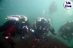    Mareste fotografia 

WeDive - YouXiu