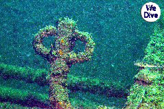    Mareste fotografia 

WeDive - YouXiu