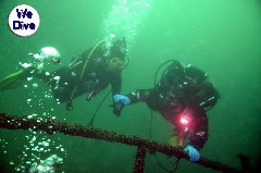    Mareste fotografia 

WeDive - YouXiu