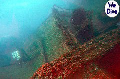    Mareste fotografia 

WeDive - YouXiu